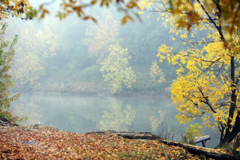 Lake in the Fog