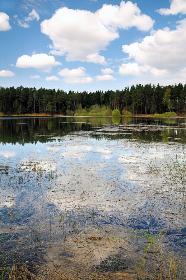 Lake at a forest.