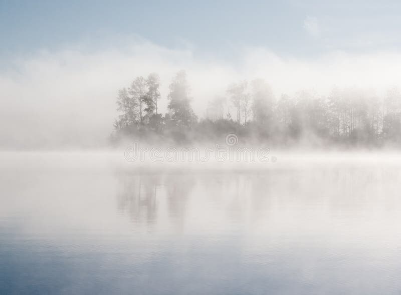 Mattina estate la natura di nebbia nebbia bianca scena della foresta con alberi circondati dalla nebbia (mist) e riflessa sulla superficie dell'acqua (lago, fiume, stagno), con un cielo azzurro come sfondo.