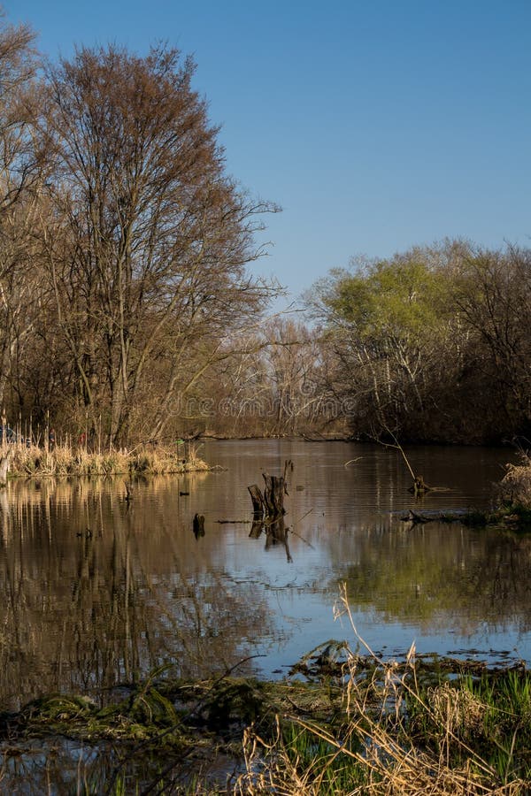 Lake and a forest, Most pri Bratislave