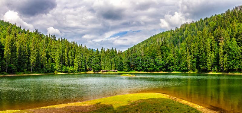 Lake Among The Forest In Mountains Stock Image Image Of Conifer