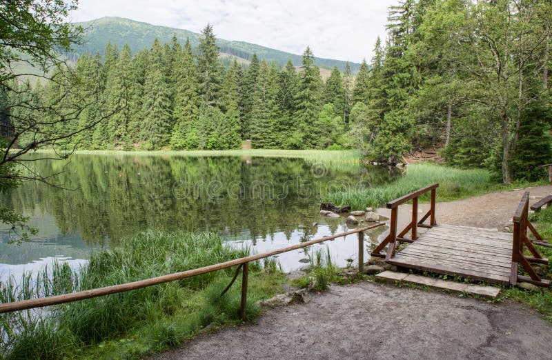 Lake in forest. Tarn Vrbicke pleso, Slovakia