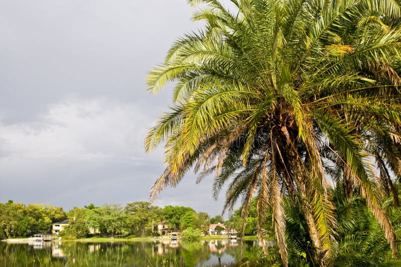 Lake front property royalty free stock photo