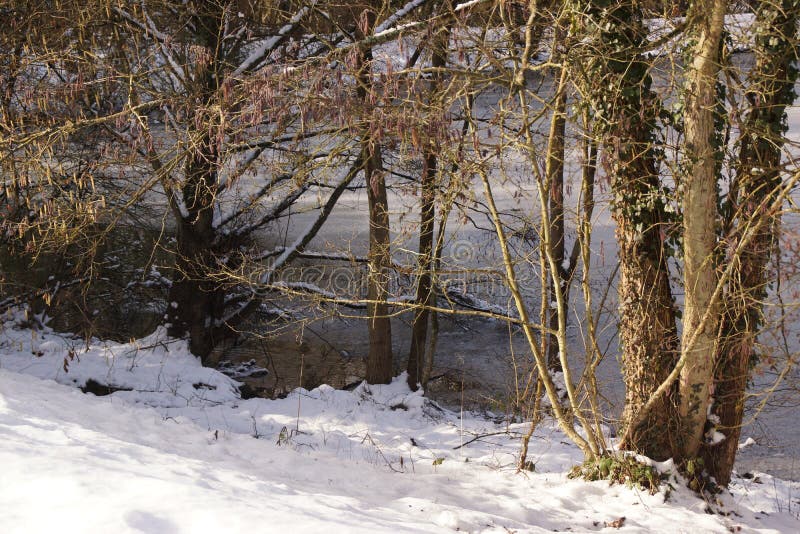 Landscape wintry, snowy forest - France royalty free stock image Landscape wintry, snowy forest - France royalty free stock image
