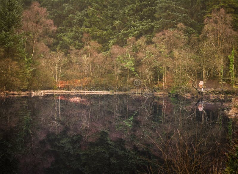 Lake in Galloway Park, Scotland Stock Photo Image of reflection