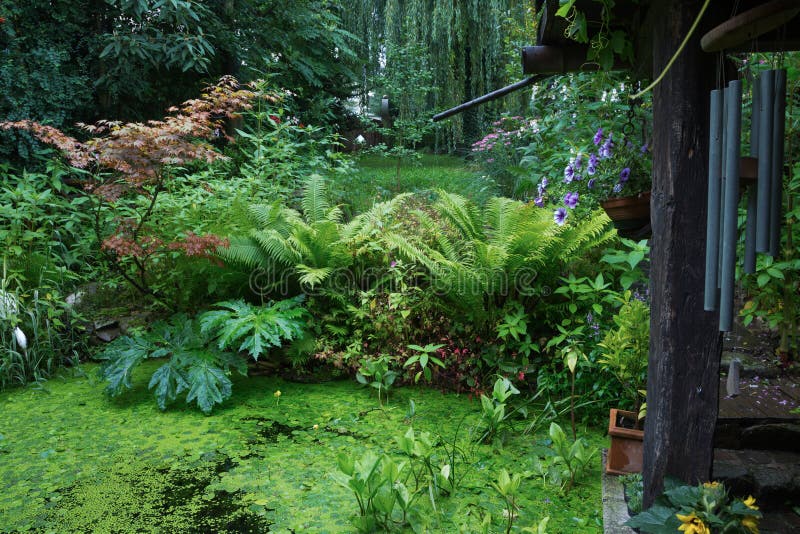 Lake stock image. Image of garden, lake, fish, lilies 42822831