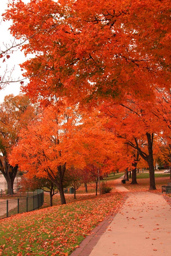 Lake Geneva in Autumn