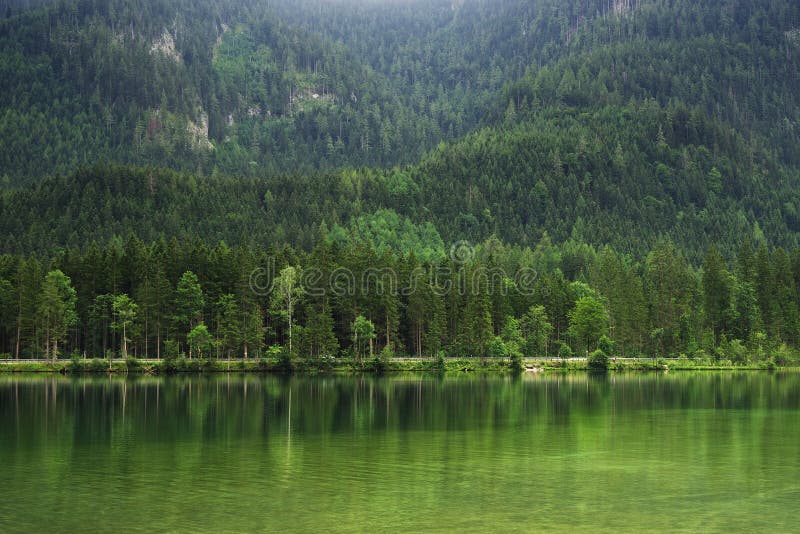 Rainy day at Hintersee Lake, Bavaria, Germany