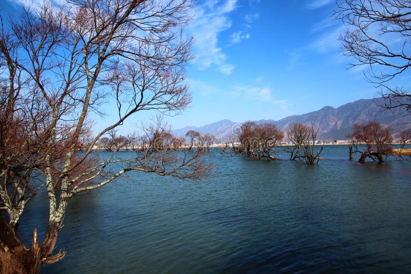 China Lake Maine Stock Photos Free & RoyaltyFree Stock Photos from Dreamstime