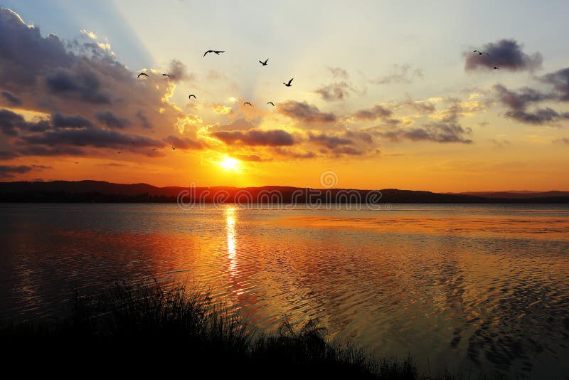 Golden lake idyll with seagulls and clouds in sky at sunset