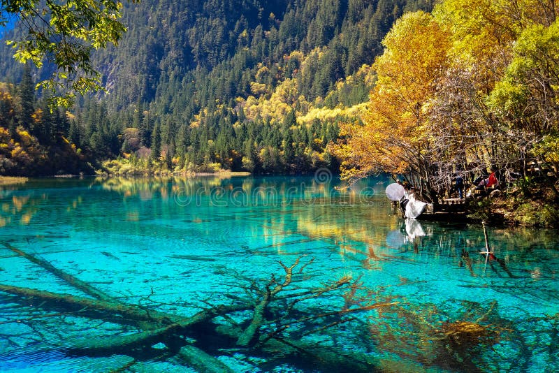 Lake In Jiuzhaigou National Park Stock Image Image Of Clear Forest