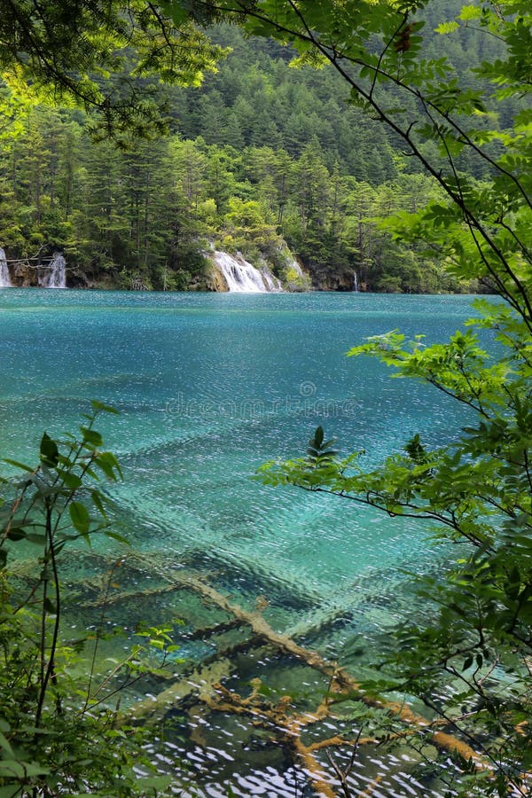 Lake In Jiuzhaigou National Park Sichuan China Stock Image Image Of