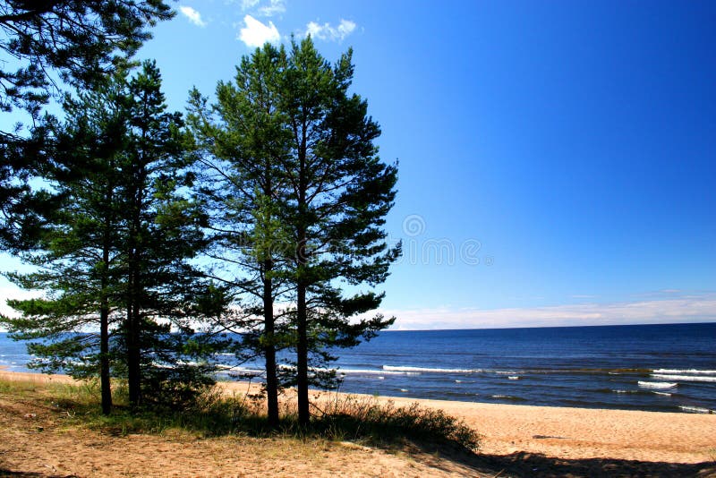 Lake Ladoga. A beach.