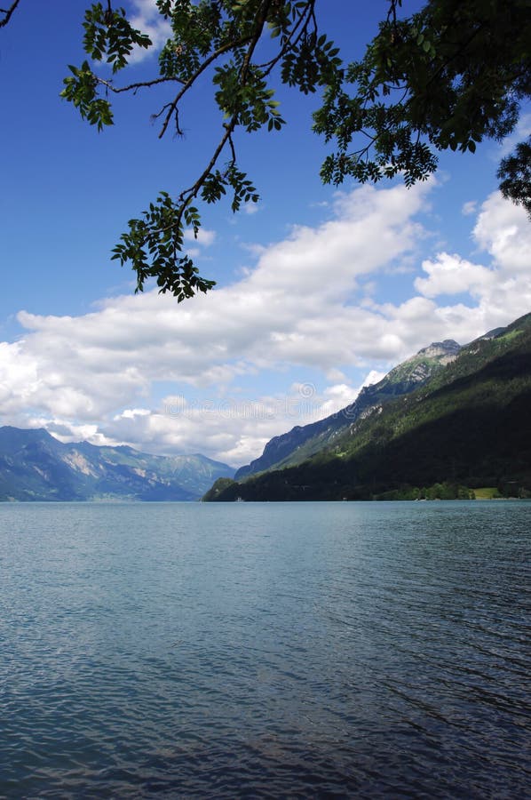 Lake landscape