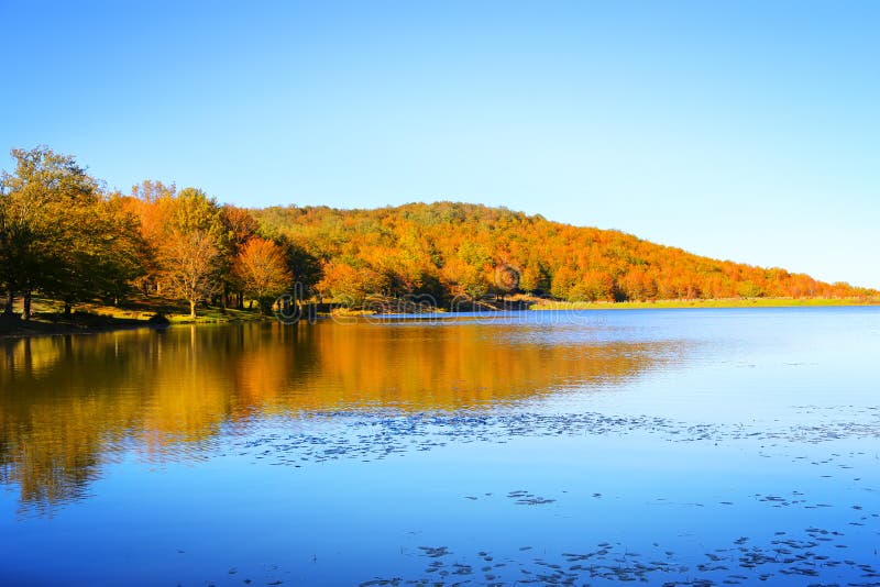 Lake landscape