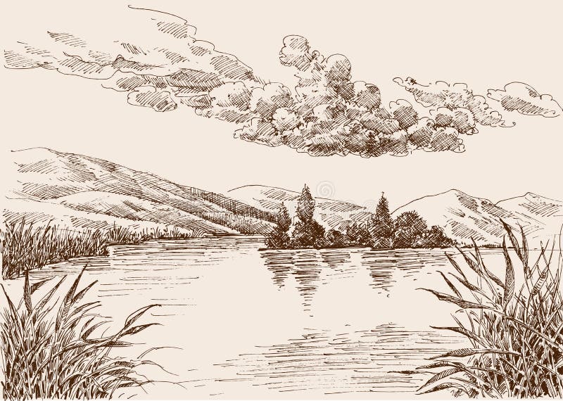 Lake landscape sketch, water vegetation