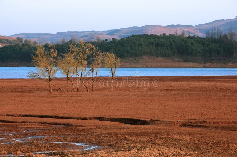 Lake landscapes