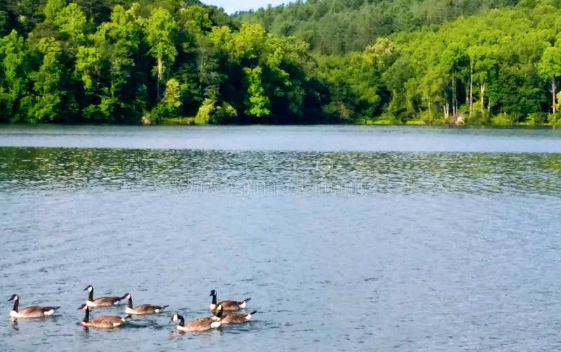 Lake Logan stock photo. Image of water, beautiful, pond 95322388