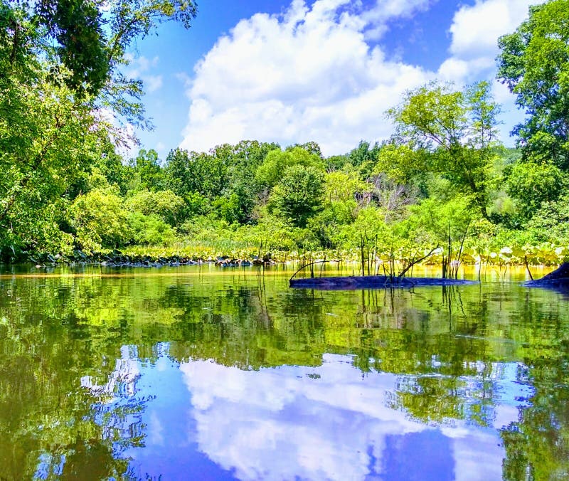 Lake logan stock image. Image of swamp, parks, bank, reflection 95116241