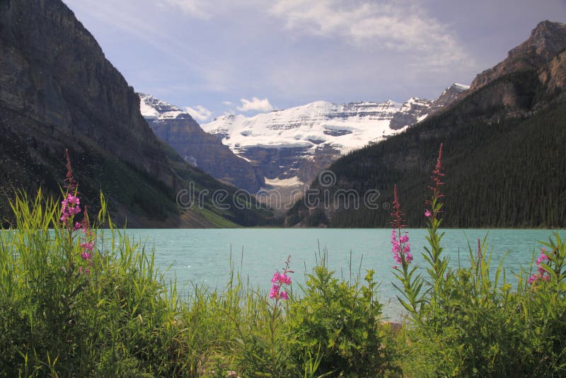 Lake Louise photos stock Lake Louise photos stock