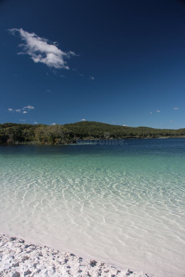 Lake McKenzie stock photo. Image of landscape, panorama 66309072
