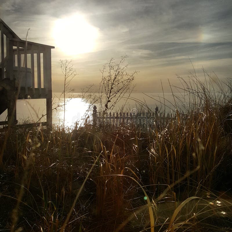 Lake Michigan sunset stock image. Image of tree, meadow 54569377