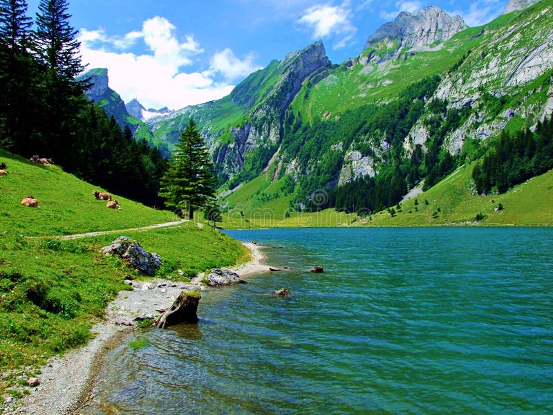 lake, mountain, water, landscape, nature, mountains, sky, blue, river, forest, summer, reflection, green, scenic, view, travel, cl