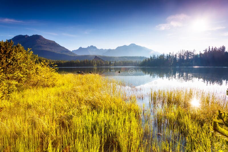 Lake in the mountains