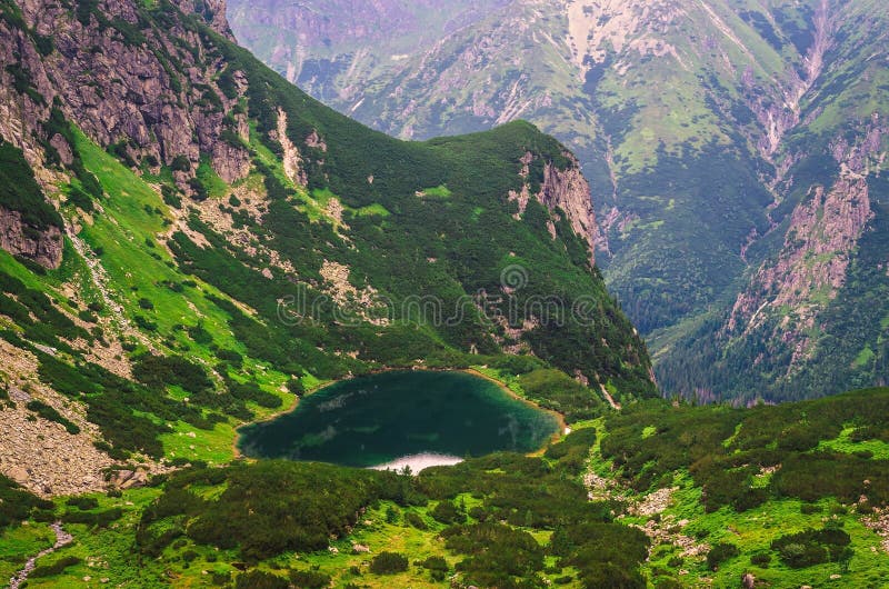 Lake in mountains in green summer scenery.