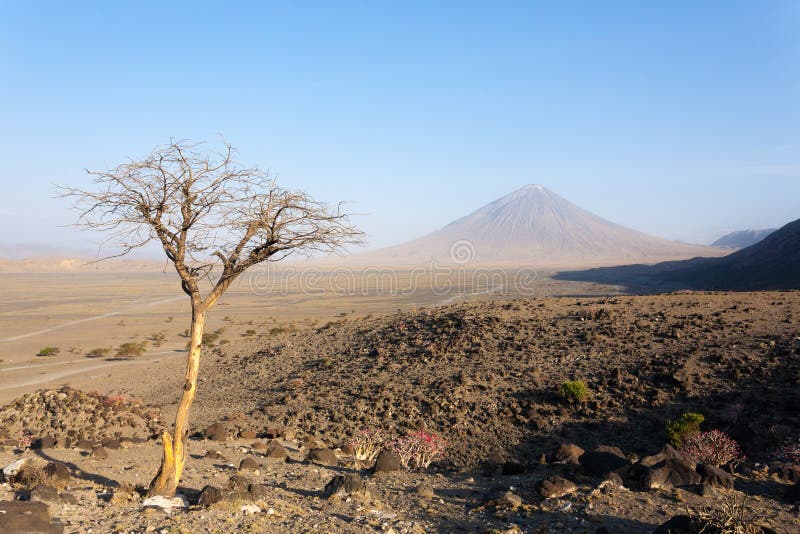 lake natron africa lake natron africa
