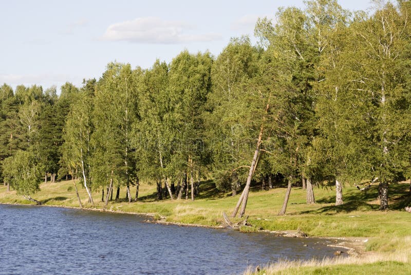 Lake near forest