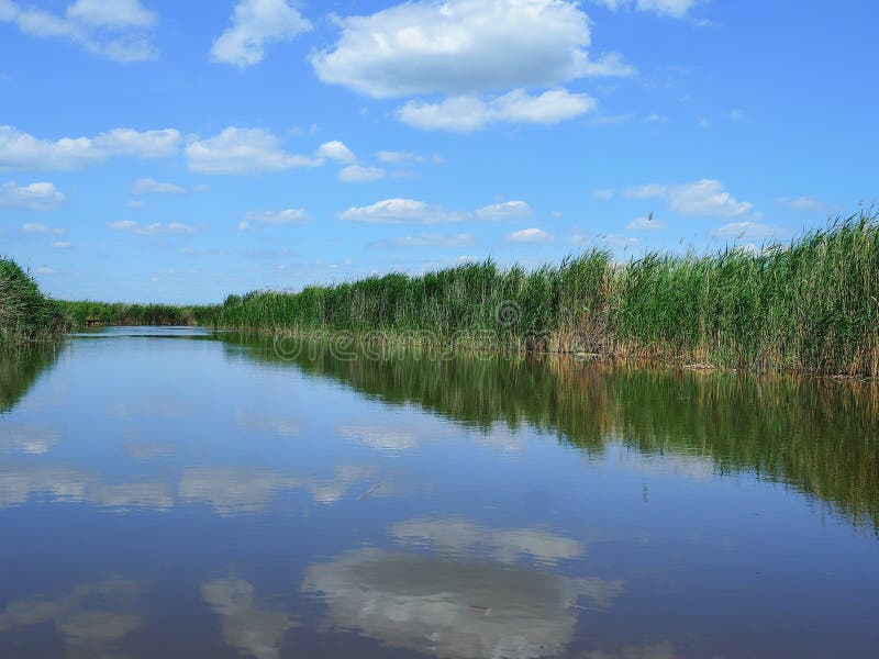 View on Neusiedler See Lake Neusiedl. Reflection of blu sky with clouds. Rust Burgenland Austria. June 2017. View on Neusiedler See Lake Neusiedl. Reflection of blu sky with clouds. Rust Burgenland Austria. June 2017