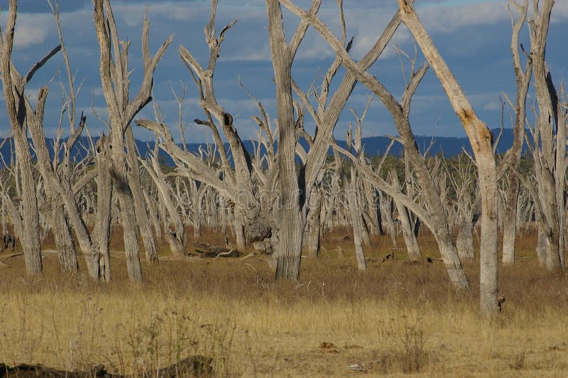 Lake Nuga Nuga drying