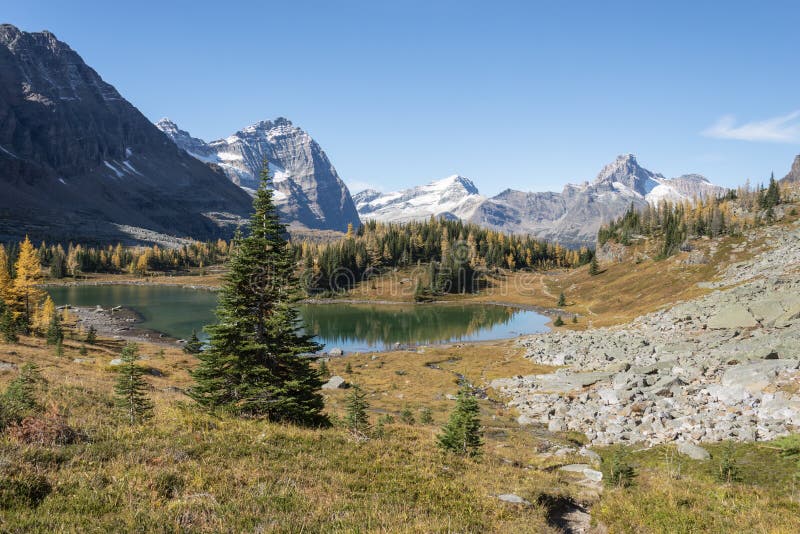 Lake O\ Hara alpine route and Opabin lakes in autumn. Yoho National park. Canadian Rockies