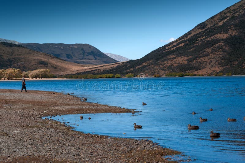 Lake Pearson / Moana Rua Wildlife Refuge located in Craigieburn Forest Park in Canterbury region, South Island of New Zealand stock photos Lake Pearson / Moana Rua Wildlife Refuge located in Craigieburn Forest Park in Canterbury region, South Island of New Zealand stock photos