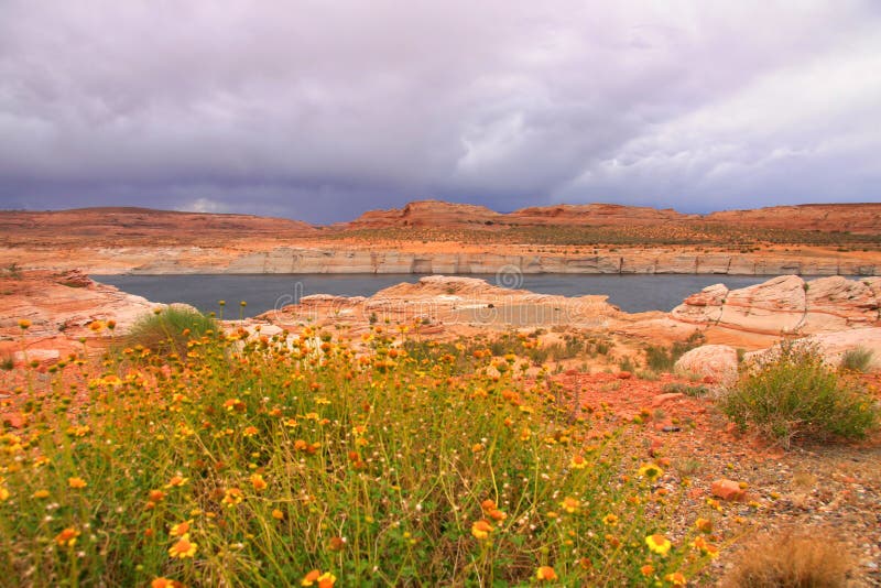 Lake Powell Recreation Area Stock Photo Image of calm, powell 40750038