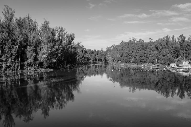 Lake pristine with green forest water reflection and bright blue sky at morning in black and white image is taken at ooty lake tamilnadu india. it is showing the beautiful landscape of south india