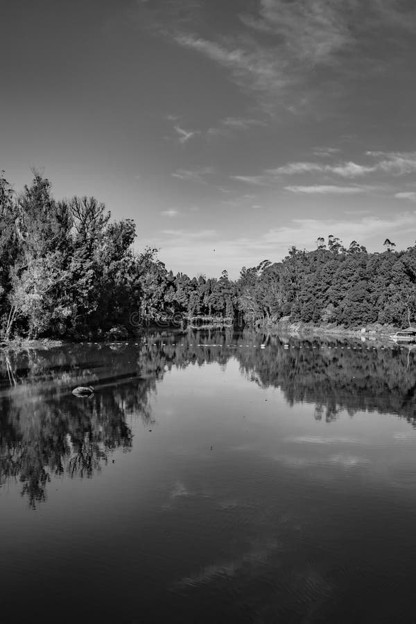 Lake pristine with green forest water reflection and bright blue sky at morning in black and white image is taken at ooty lake tamilnadu india. it is showing the beautiful landscape of south india