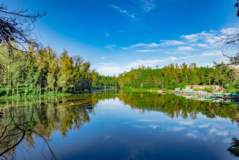 Lake pristine with green forest water reflection and bright blue sky at morning image is taken at ooty lake tamilnadu south india. it is showing the beautiful landscape of south india