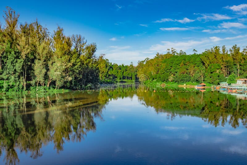 Lake pristine with green forest water reflection and bright blue sky at morning image is taken at ooty lake tamilnadu south india. it is showing the beautiful landscape of south india