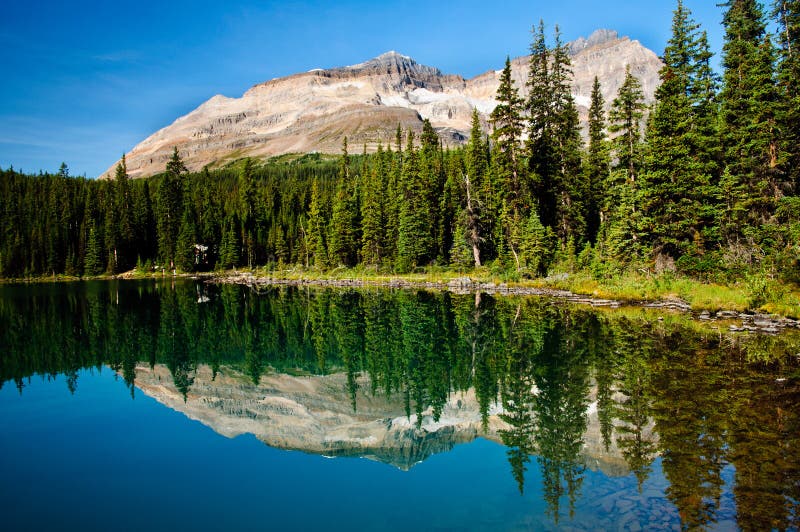 Lake reflection, Vancouver Island