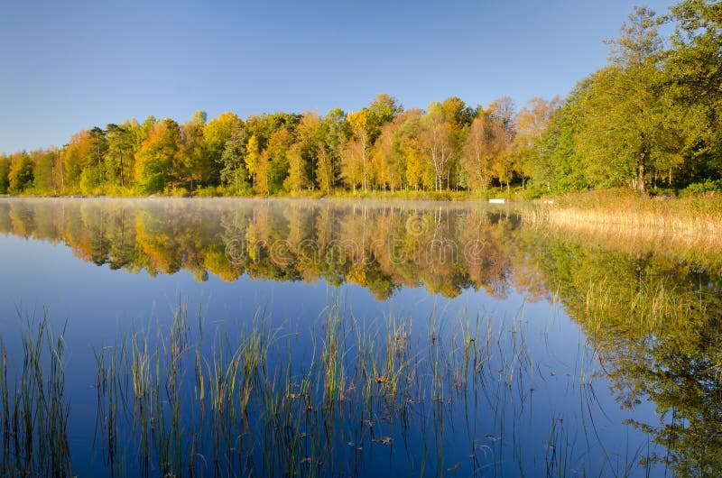 Lake reflections royalty free stock photo