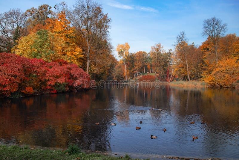 Lake reflections of fall autumn colorful foliage