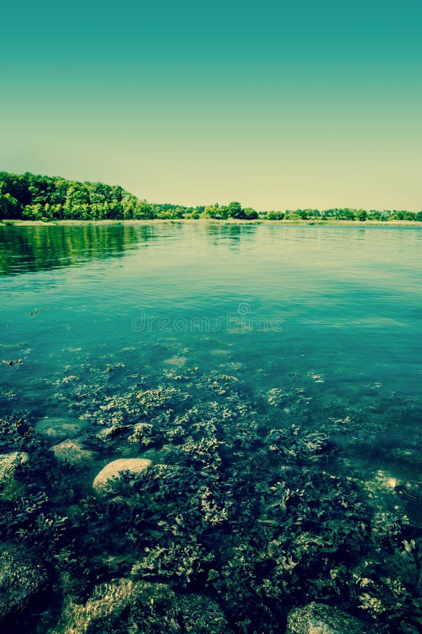 Lake Scenery in the Fall with Trees Stock Image Image of foliage