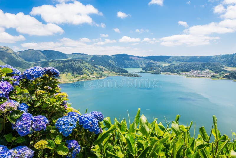 Lake of Sete Cidades with hortensia's, Azores, Portugal Europe