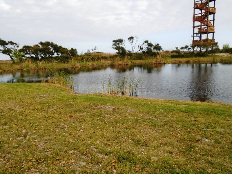 Gulf Shores Alabama Lake Shelby Stock Photos Free & RoyaltyFree Stock Photos from Dreamstime