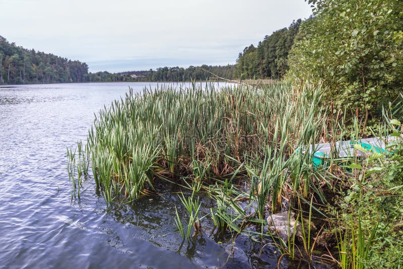 Lake in Poland