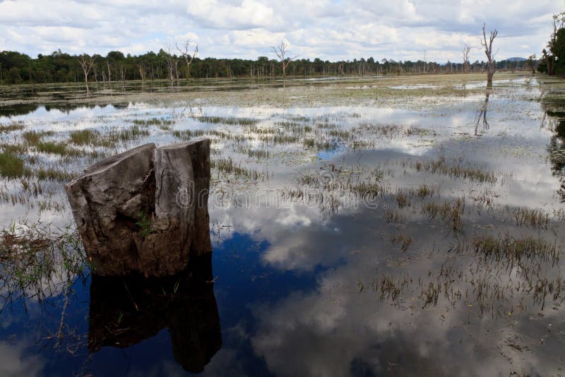 Lake on side way to Neak Pean