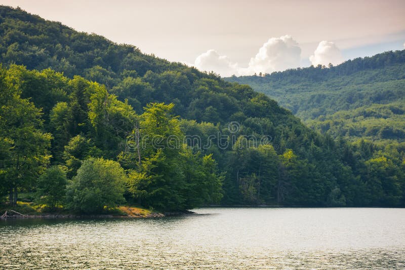 Lake in slovakian mountainous countryside