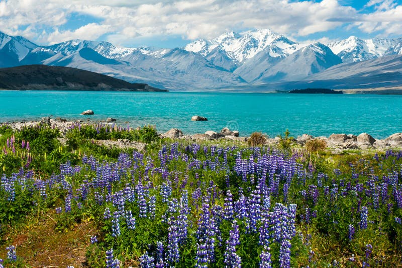 Lake Tekapo